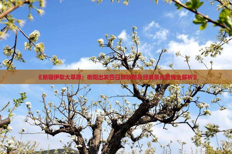 《新疆伊犁大草原：衡阳出发四日游攻略及经典景点路线全解析》