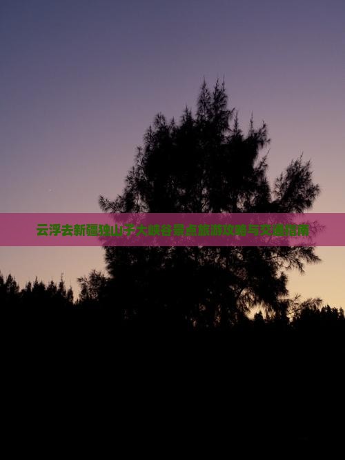云浮去新疆独山子大峡谷景点旅游攻略与交通指南