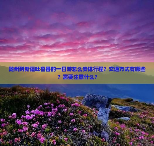 随州到新疆吐鲁番的一日游怎么安排行程？交通方式有哪些？需要注意什么？