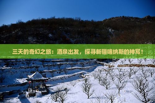 三天的奇幻之旅：酒泉出发，探寻新疆喀纳斯的神写！