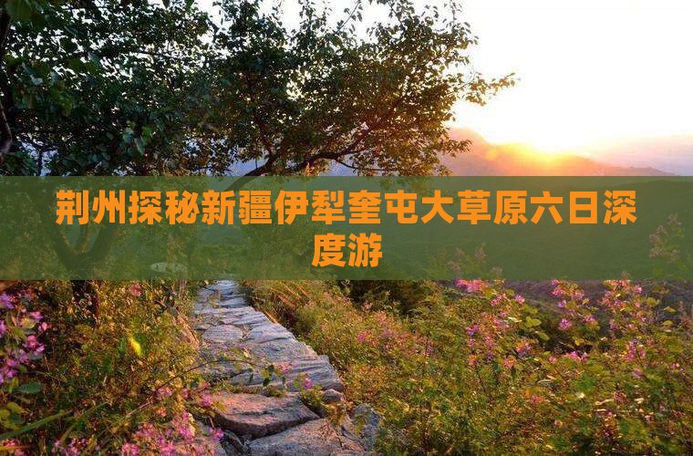 荆州探秘新疆伊犁奎屯大草原六日深度游