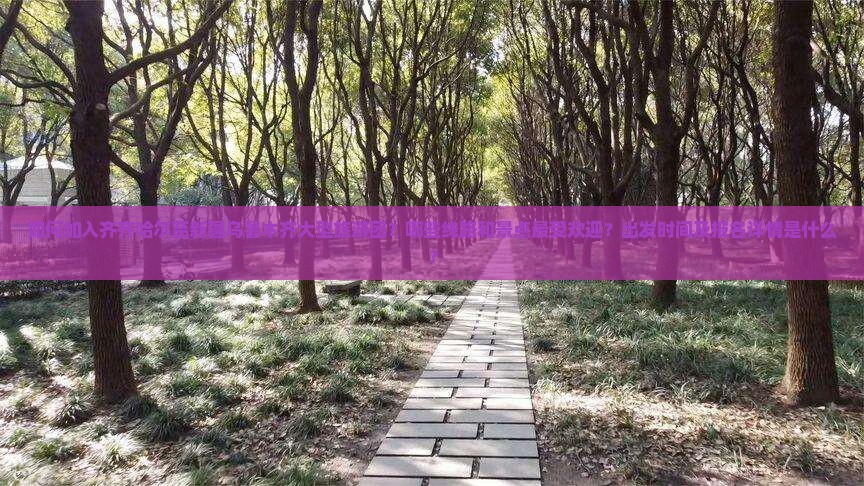 如何加入齐齐哈尔至新疆乌鲁木齐大型旅游团？哪些线路和景点最受欢迎？出发时间及报名详情是什么？