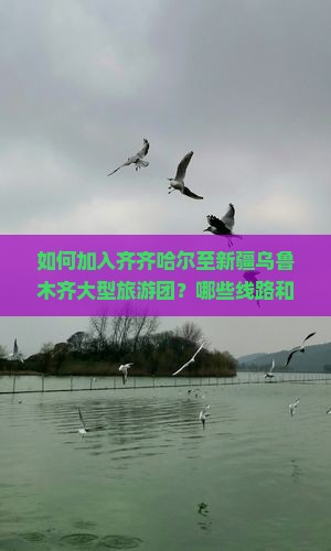如何加入齐齐哈尔至新疆乌鲁木齐大型旅游团？哪些线路和景点最受欢迎？出发时间及报名详情是什么？