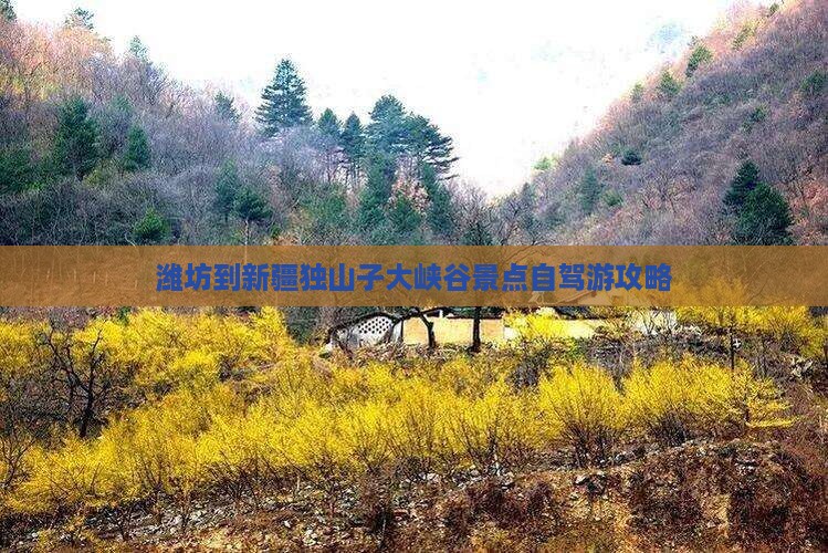 潍坊到新疆独山子大峡谷景点自驾游攻略