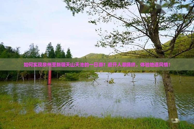 如何实现泉州至新疆天山天池的一日游？避开人潮拥挤，体验地道风情！