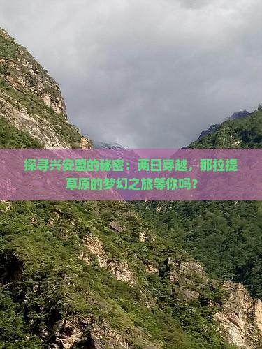 探寻兴安盟的秘密：两日穿越，那拉提草原的梦幻之旅等你吗？