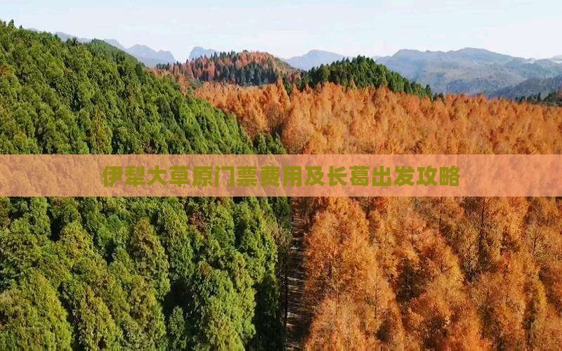 伊犁大草原门票费用及长葛出发攻略