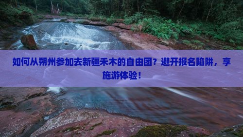 如何从朔州参加去新疆禾木的自由团？避开报名陷阱，享施游体验！