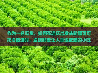 作为一名吃货，如何在迪庆出发去新疆可可托海旅游时，发现那些让人垂涎欲滴的小吃？