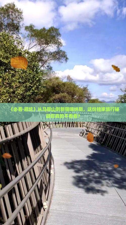 马鞍山去新疆喀纳斯必去地