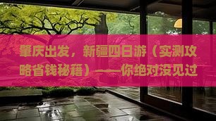 肇庆到新疆四日游