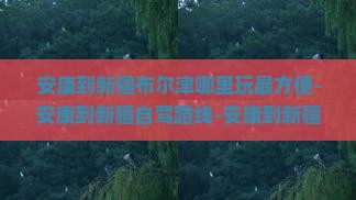 安康到新疆布尔津哪里玩