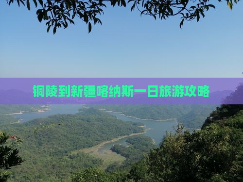 铜陵到新疆喀纳斯一日
