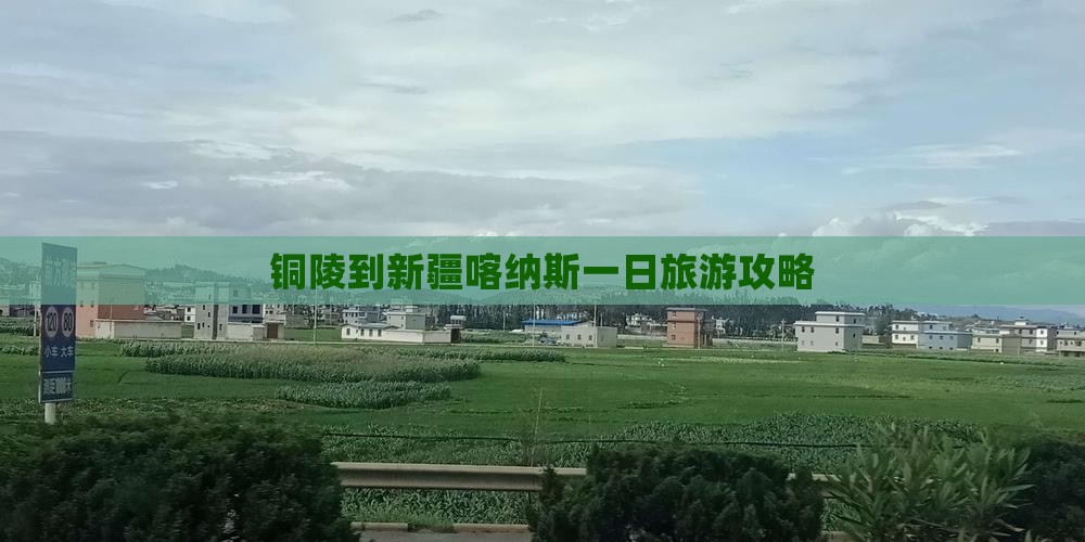 铜陵到新疆喀纳斯一日