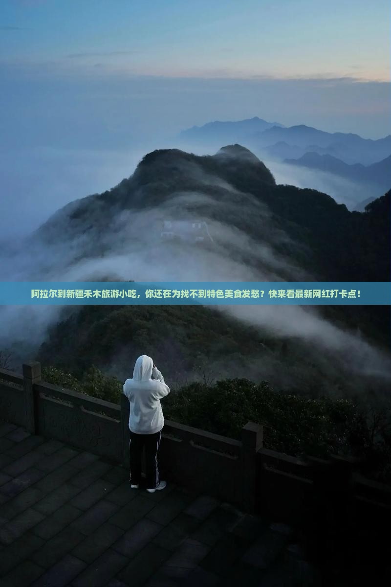 阿拉尔到新疆禾木旅游小吃