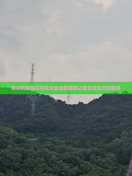 铁岭到新疆可可托海自由团
