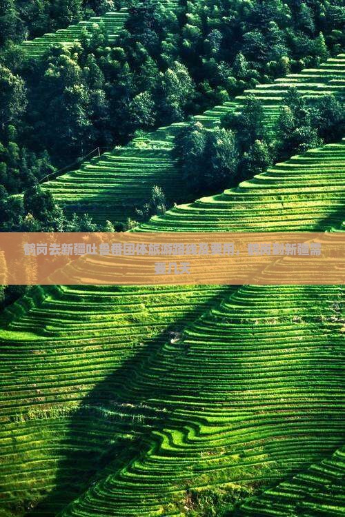 鹤岗去新疆吐鲁番团体旅游