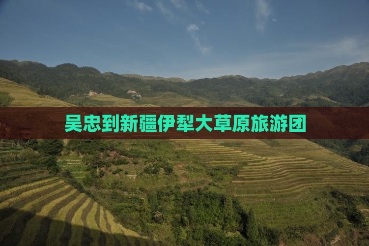 吴忠到新疆伊犁大草原大型旅游团