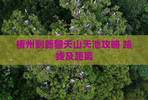 梧州到新疆天山天池攻略