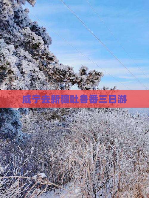 咸宁去新疆吐鲁番三日游 咸宁去新疆吐鲁番三日游