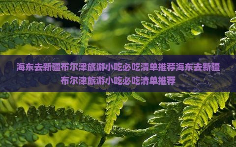 海东去新疆布尔津旅游小吃