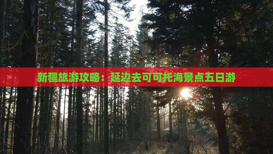 延边去新疆可可托海五日游