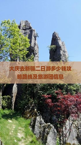 大庆去新疆二日游