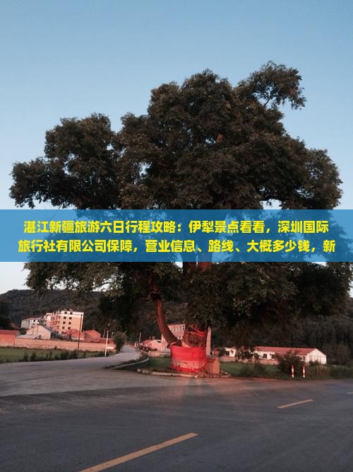 湛江去新疆六日游
