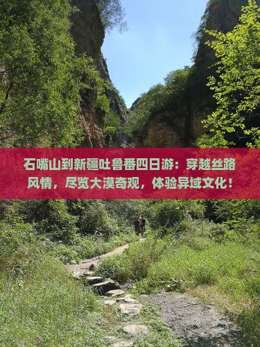 石嘴山到新疆吐鲁番四日游
