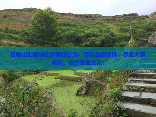 石嘴山到新疆吐鲁番四日游