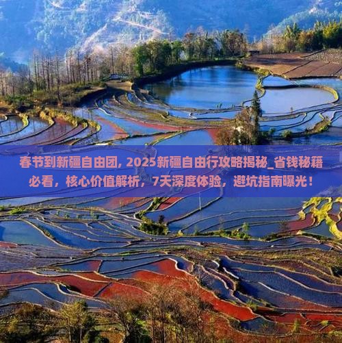 春节到新疆自由团