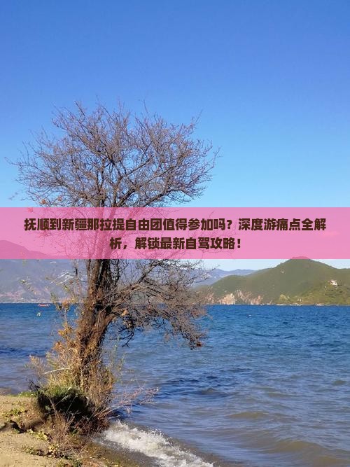抚顺到新疆那拉提自由团