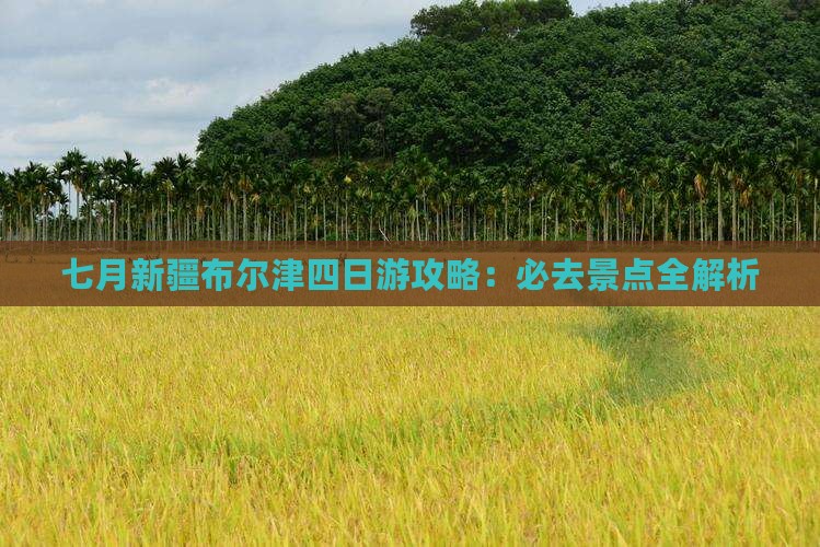 七月到新疆布尔津四日游