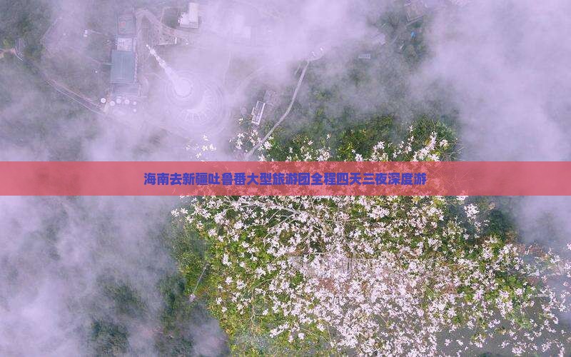 海南去新疆吐鲁番大型旅游团