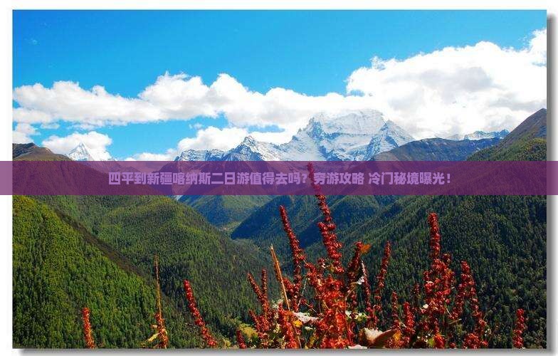 四平到新疆喀纳斯二日游