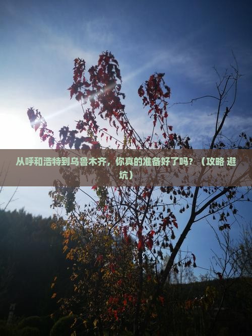 呼和浩特去新疆乌鲁木齐自由行