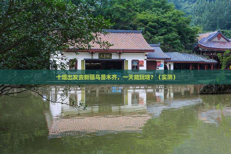 十堰去新疆乌鲁木齐一日