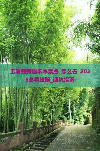 玉溪到新疆禾木景点