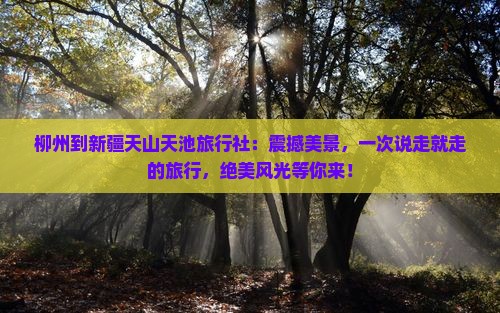 柳州到新疆天山天池旅行社