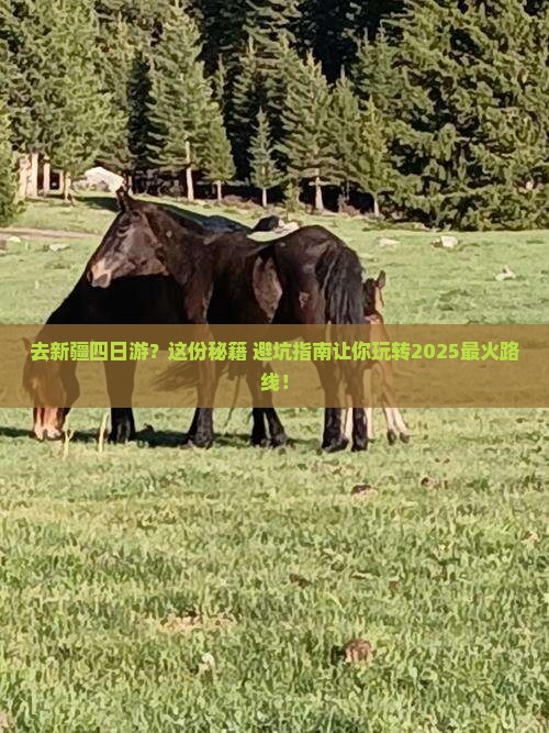 中秋节到新疆四日游