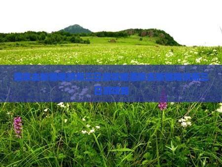 酒泉去新疆喀纳斯三日游