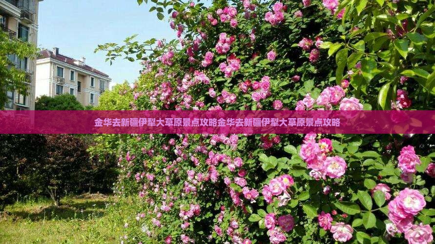 金华去新疆伊犁大草原景点