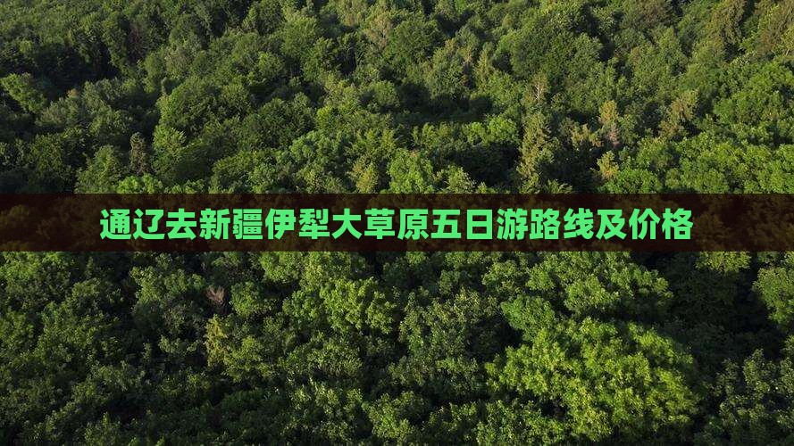 通辽去新疆伊犁大草原五日游