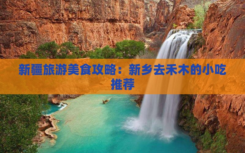 新乡去新疆禾木旅游小吃