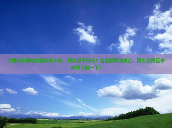 大理去新疆喀纳斯旅游小吃