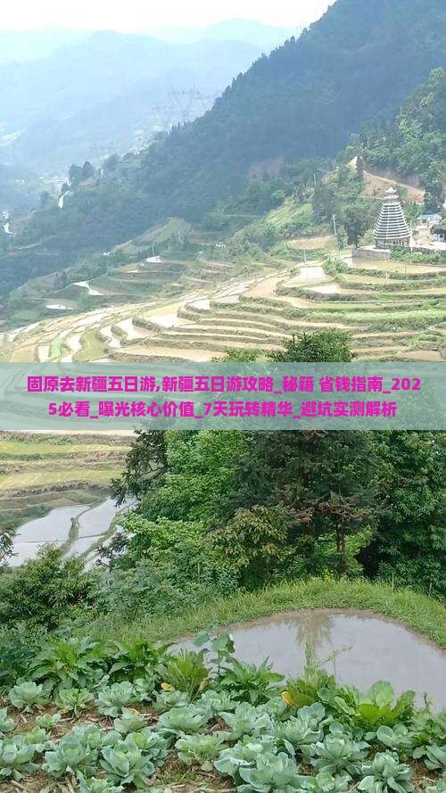 固原去新疆五日游