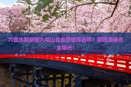 六盘水到新疆火焰山自由团