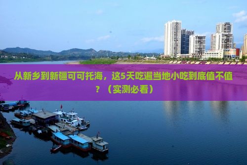 新乡到新疆可可托海旅游小吃