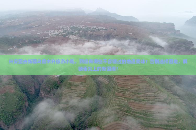 兴安盟去新疆乌鲁木齐旅游小吃