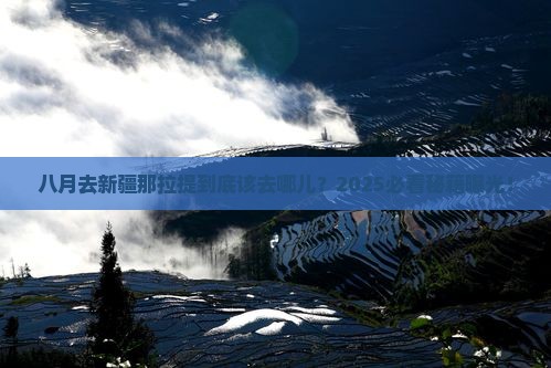 八月到新疆那拉提必去地